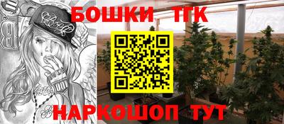 spice Аргун