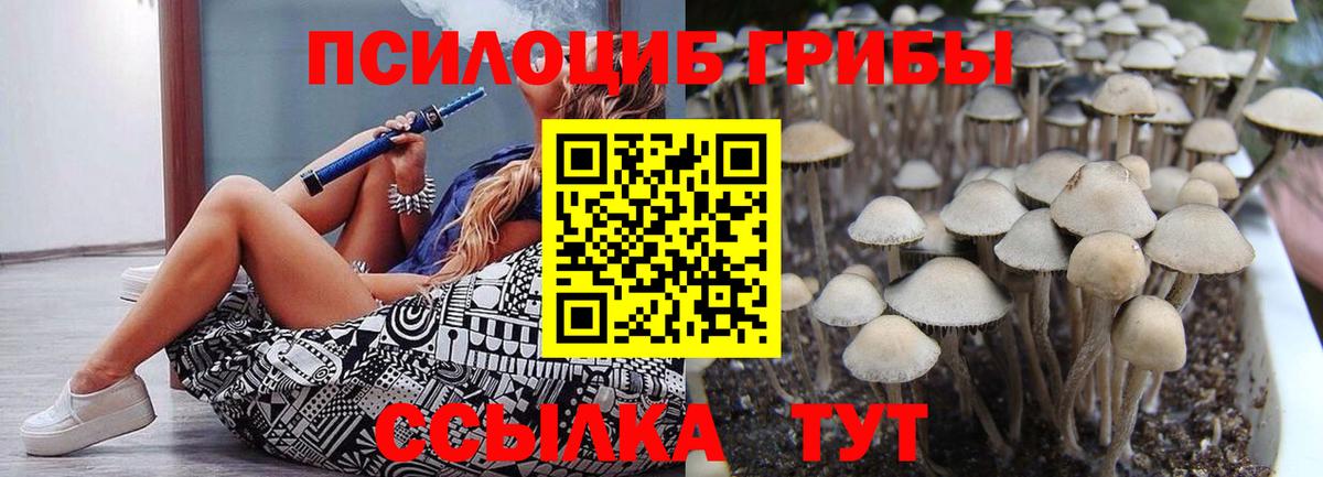 Волжский  Псилоцибиновые грибы Psilocybe  Вход с VPN 