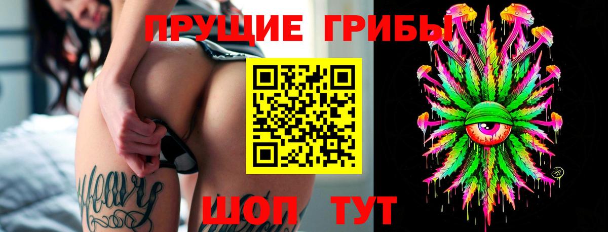 Галлюциногенные грибы мухоморы Волжский